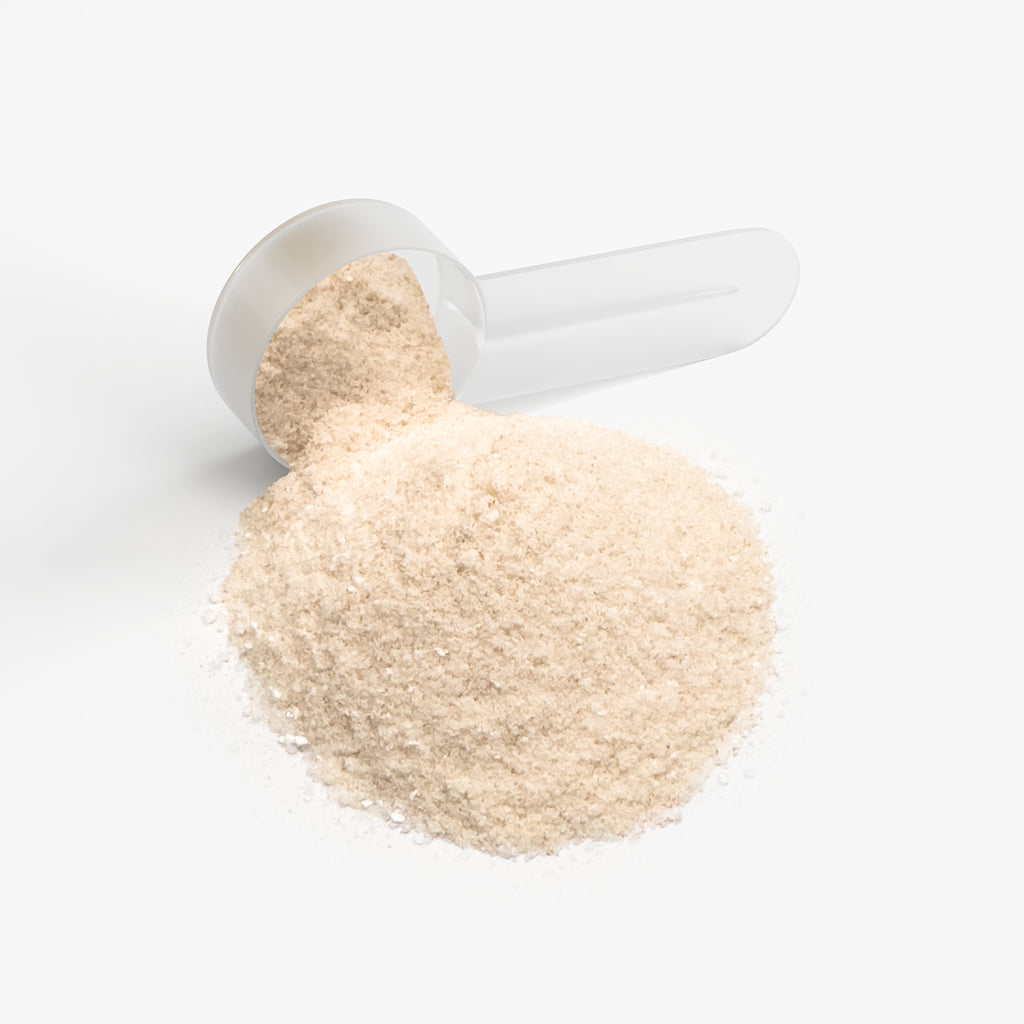 HydraFuel™ Hydration Powder – Lemonade