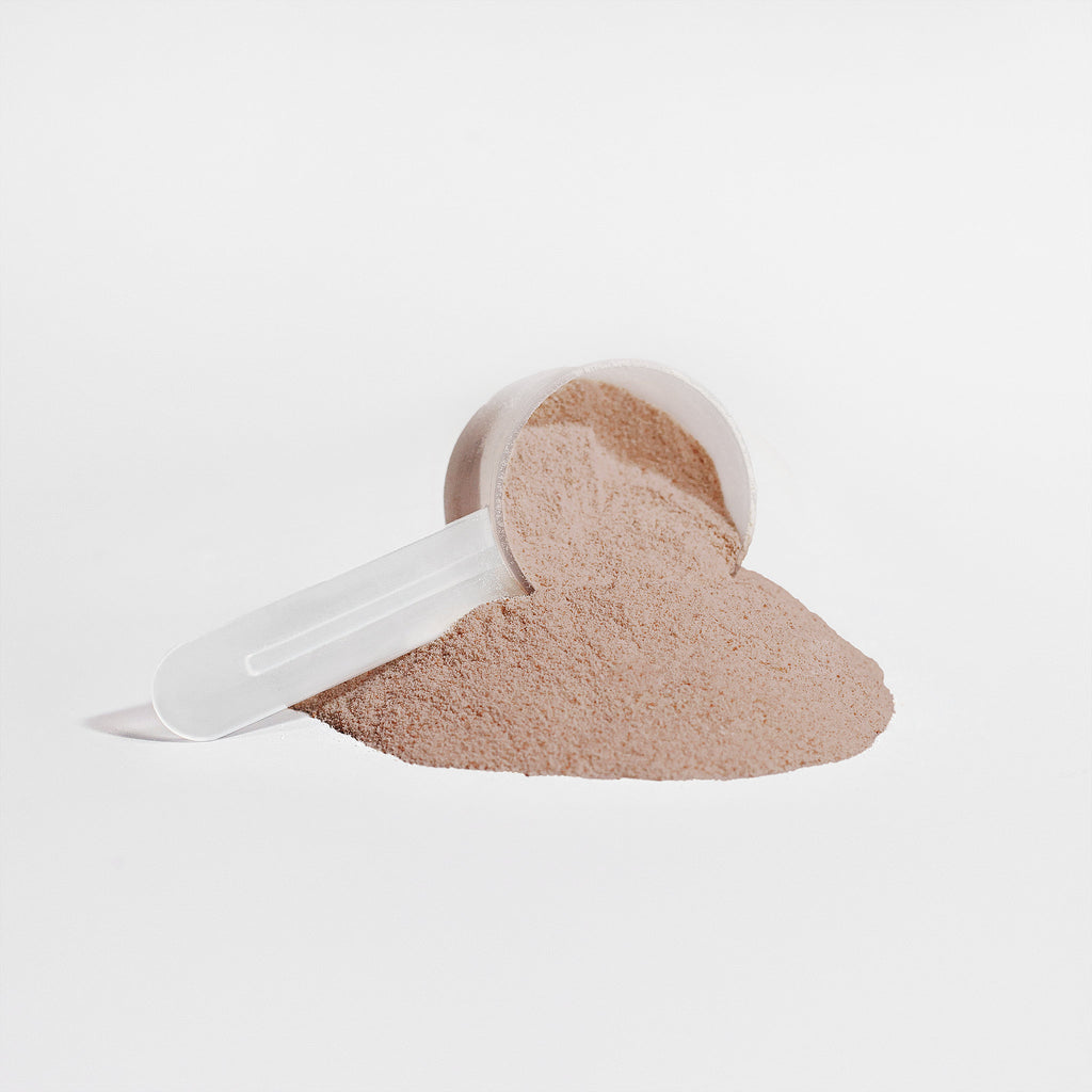 PlantForge™ Chocolate Protein Complex
